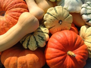 fallgourds