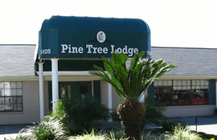Pine Tree Assisted Living