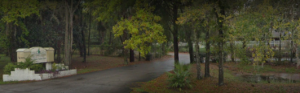 Image of Forest Glen Lodge - exterior