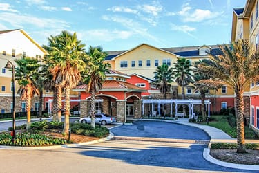 image of Camellia at Deerwood