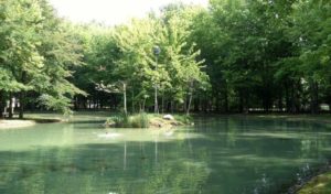 Image of Our House facility private pond - exterior