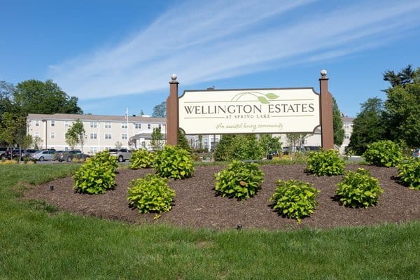 Wellington Estates at Spring Lake
