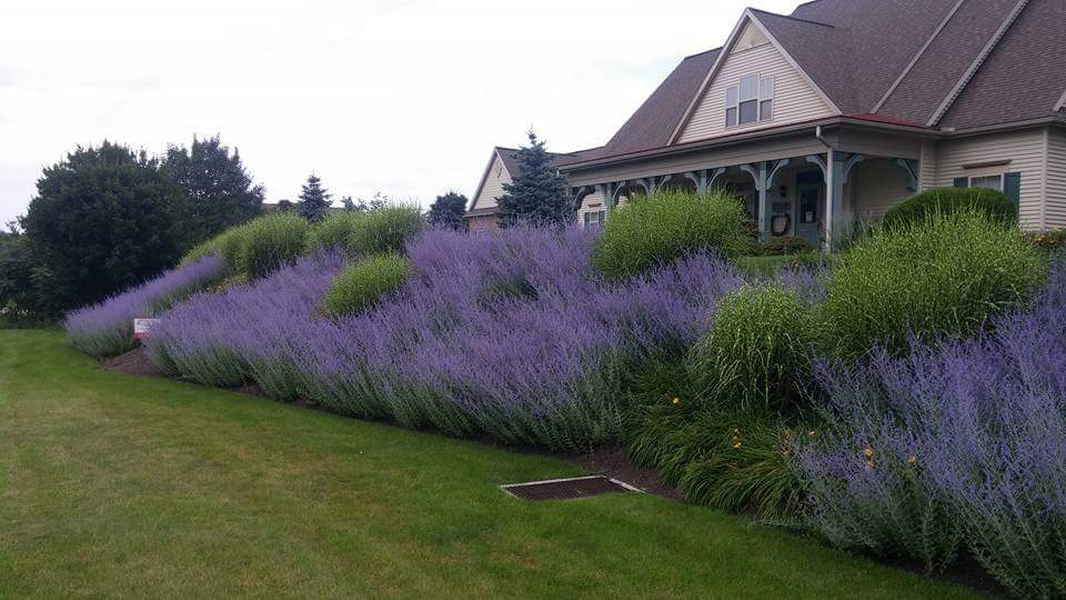 Columbia Cottage Wyomissing