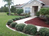 Mariner Palms